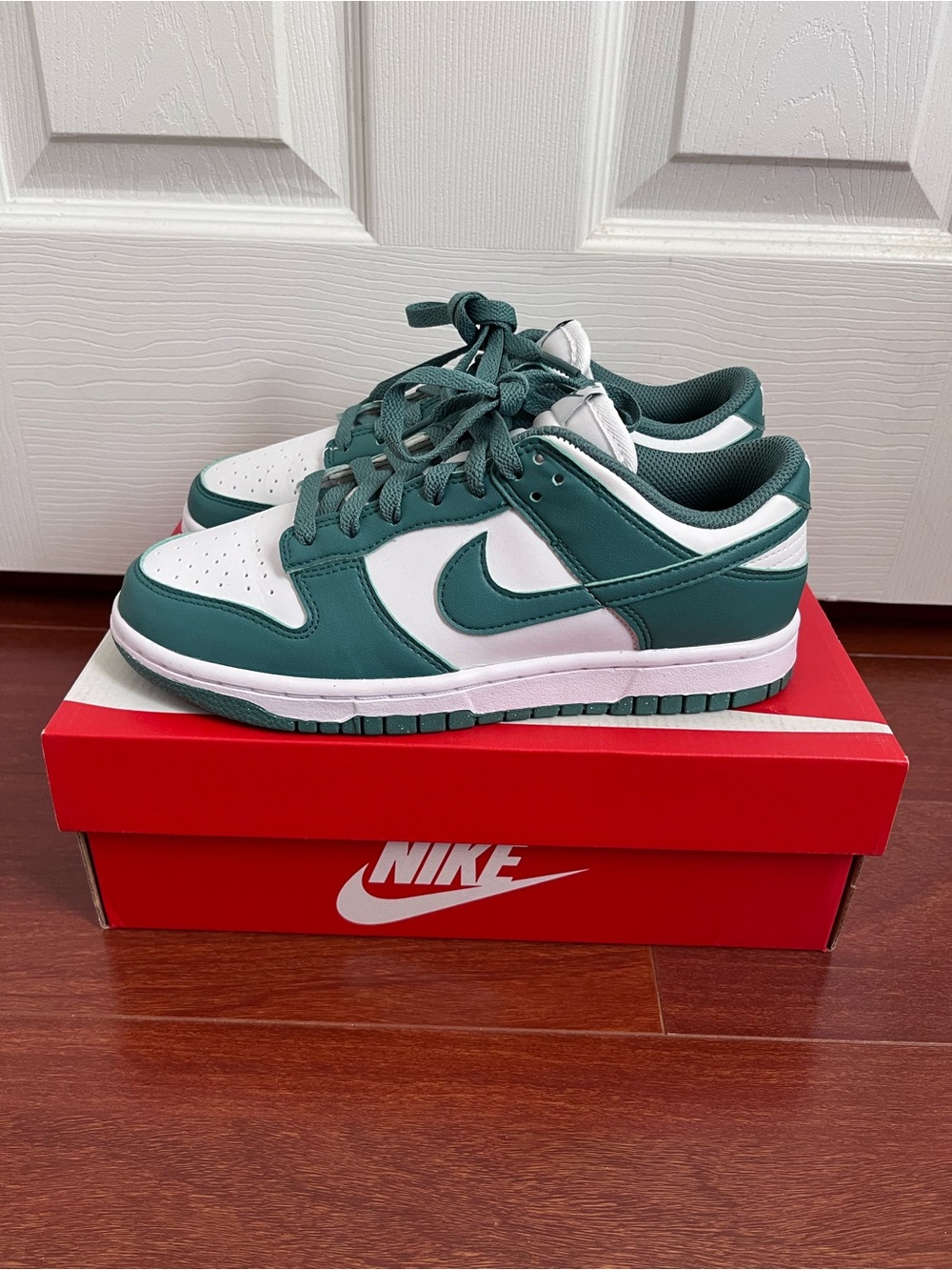 Nike Dunk Low Next Nature Bicoastal